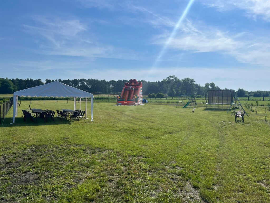 img 3800