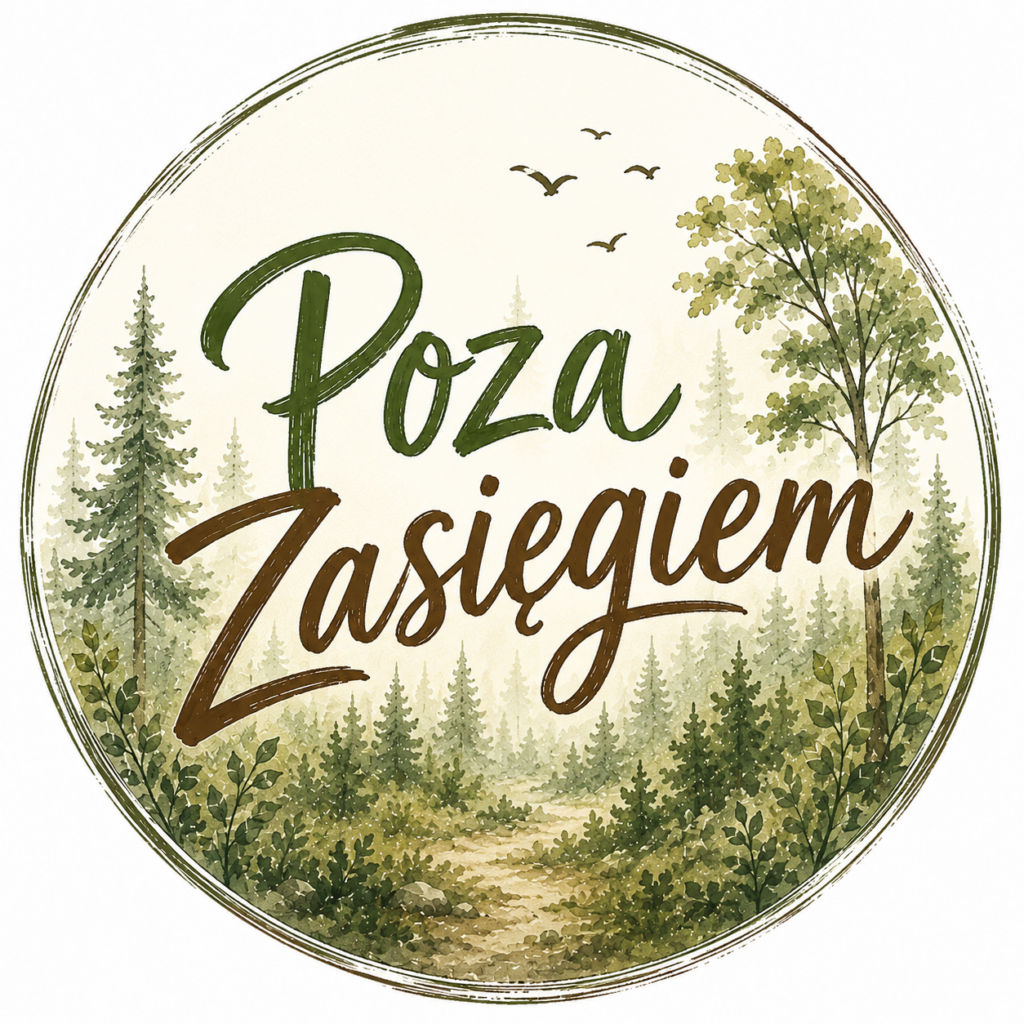 logo poza zasiegiem