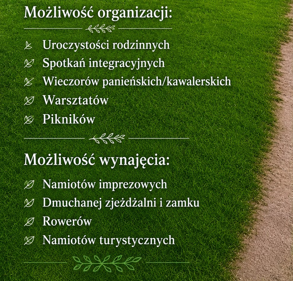 uslugi